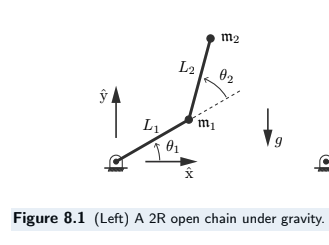 Figure 8.1: A 2R planar open chain under gravity.